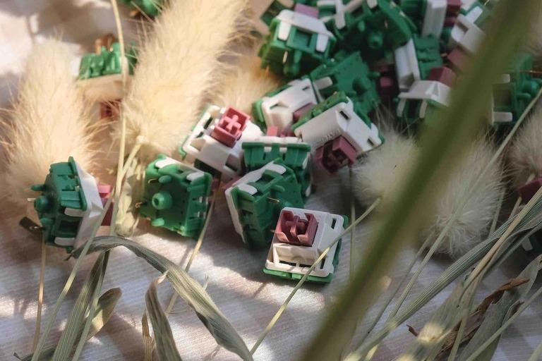 Gateron Camping Switches (IC) - Switches interest check cover image featuring Gateron Camping switches, Aregs Keyboard, Guyue studio, GMK camping keycaps, nylon shell, POM stem, pre-lubed, linear switches, PCB mount