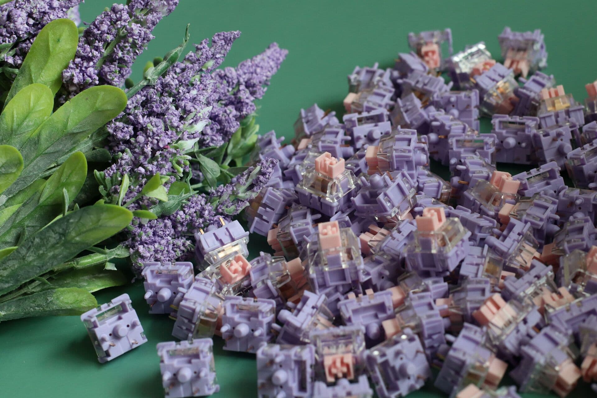 Viola Tricolor L Switch - Gallery image 1 showing project details