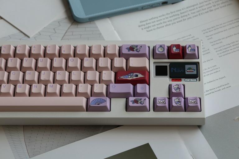 MW Wonderland (IC)
