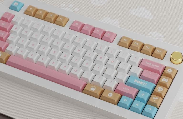 DSA POKI (IC)