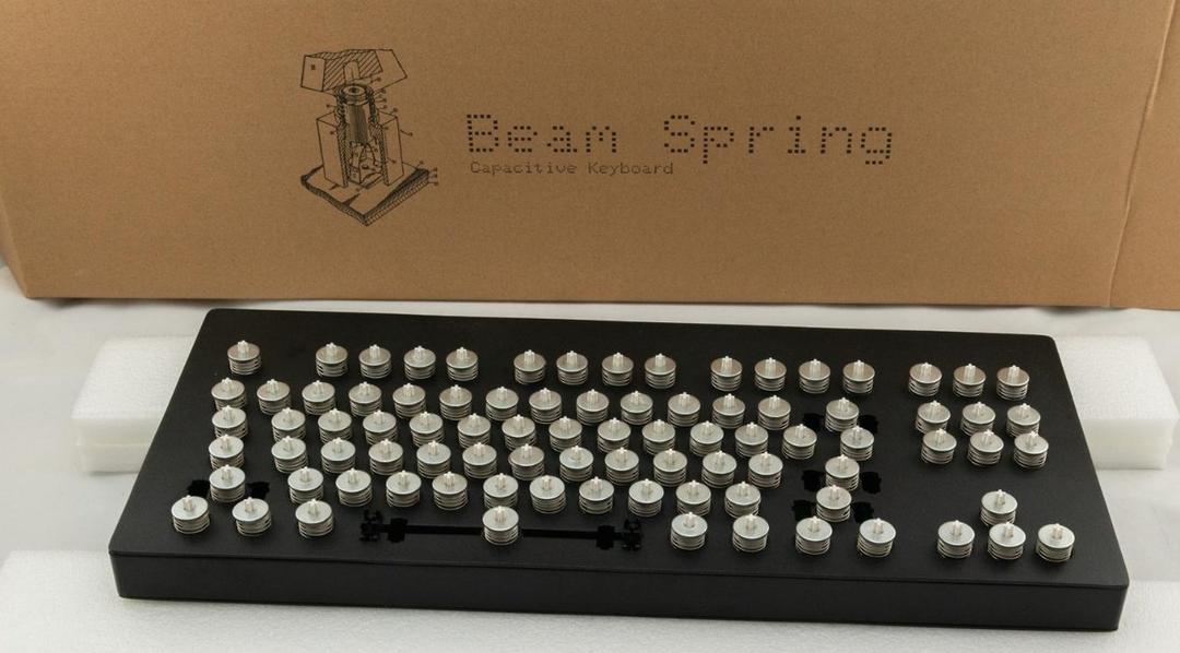 Beam Spring Reproduction Project