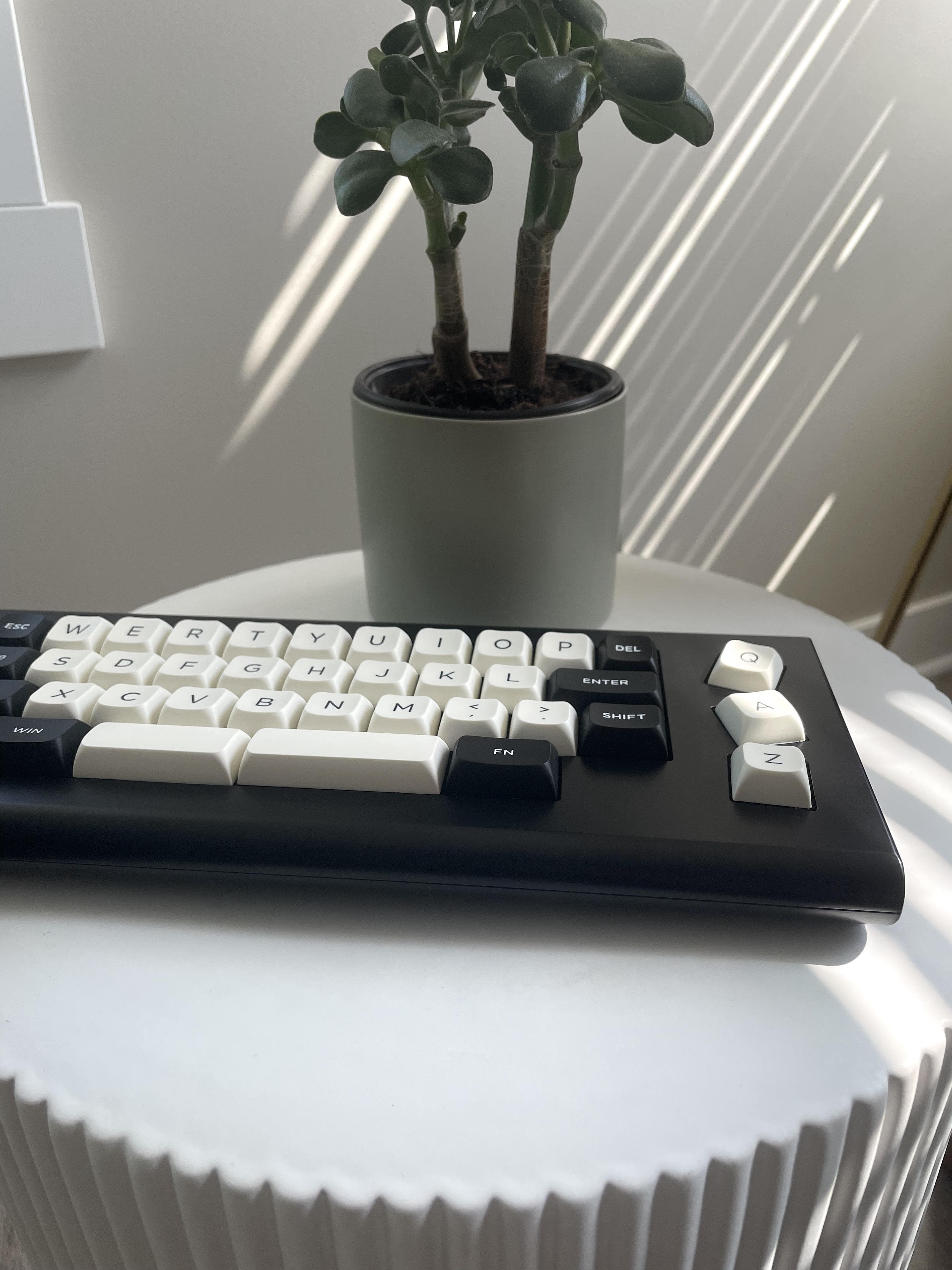 Qazimodo - Gallery image 2 showing project details