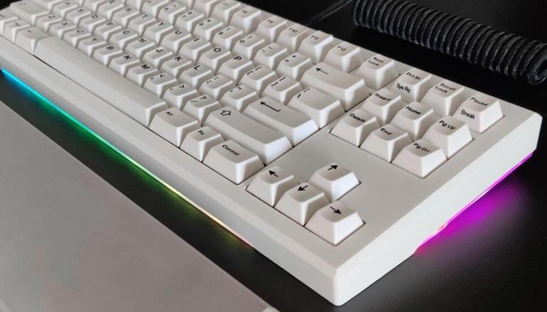 Bulwark TKL (IC)