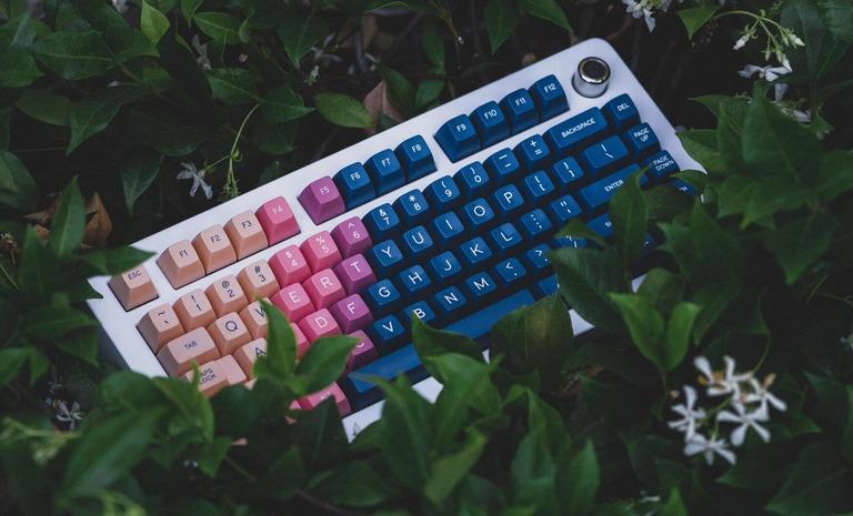Paragon