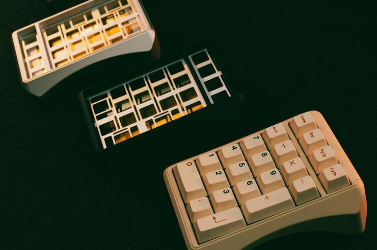 Dolphin Pad (IC)