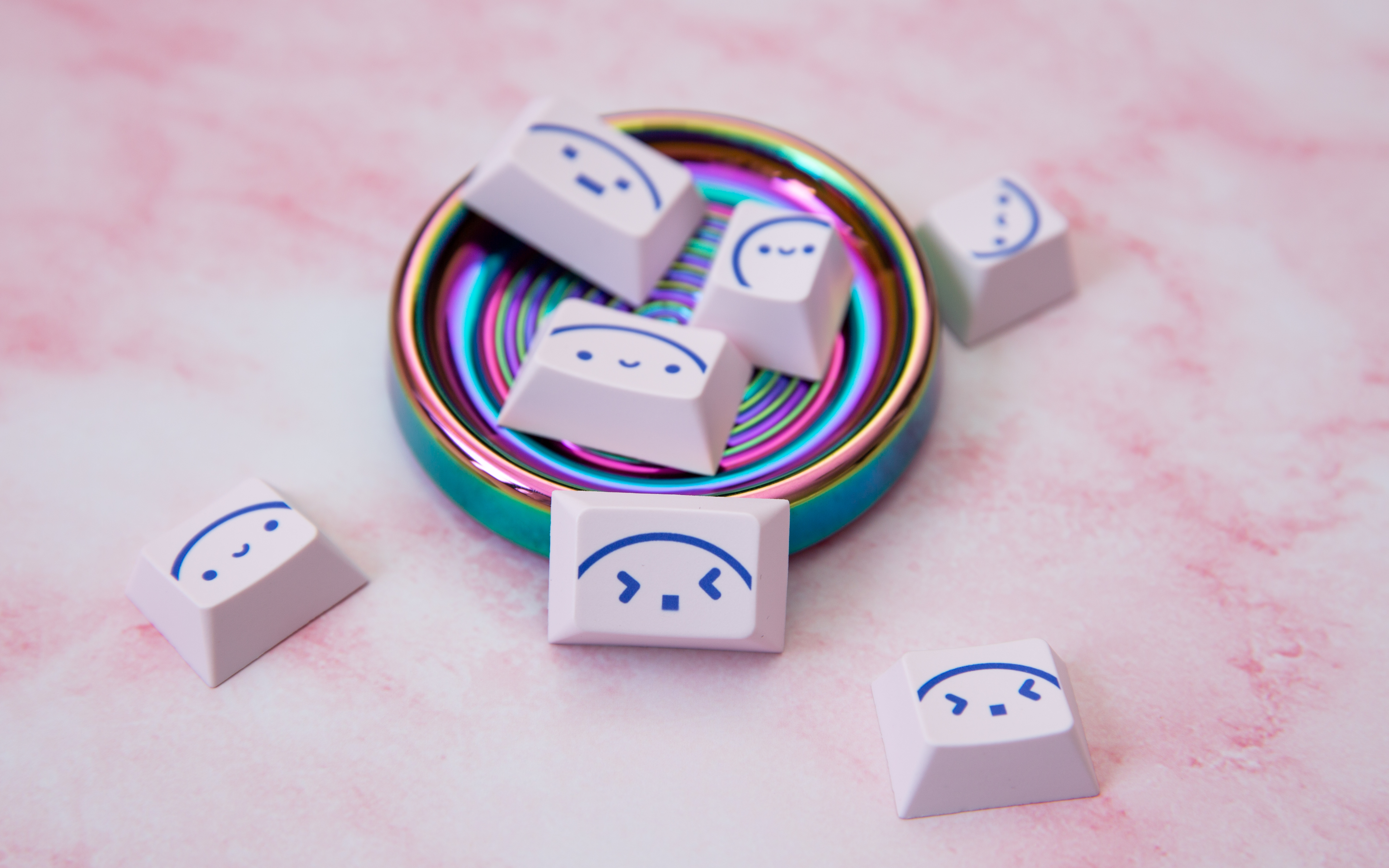 BOLO LOVELESS - Gallery image 5 showing project details