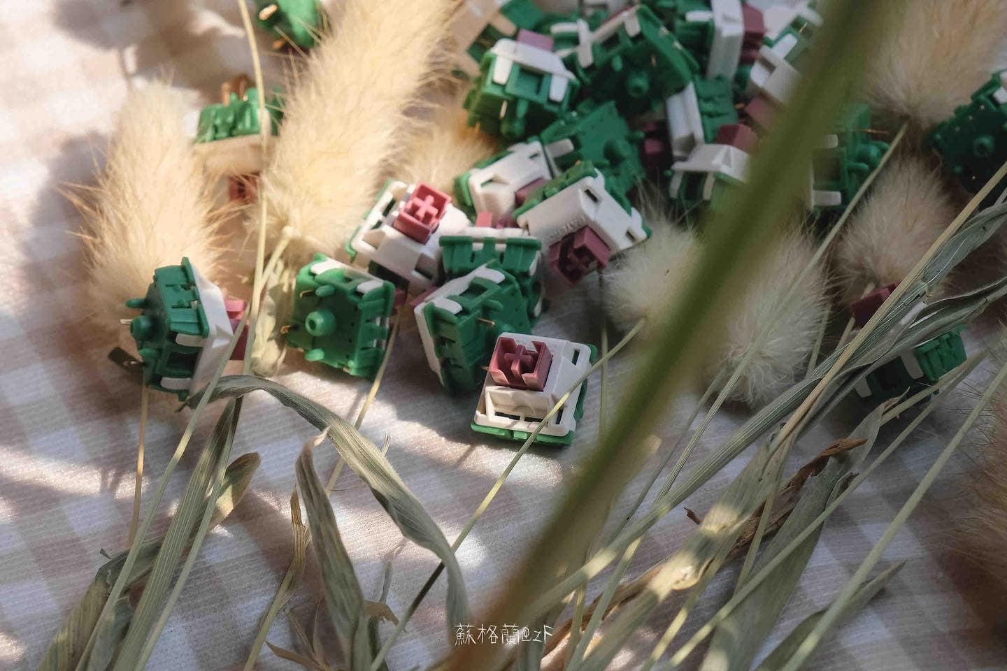 Gateron Camping Switches - Gallery image 6 showing project details