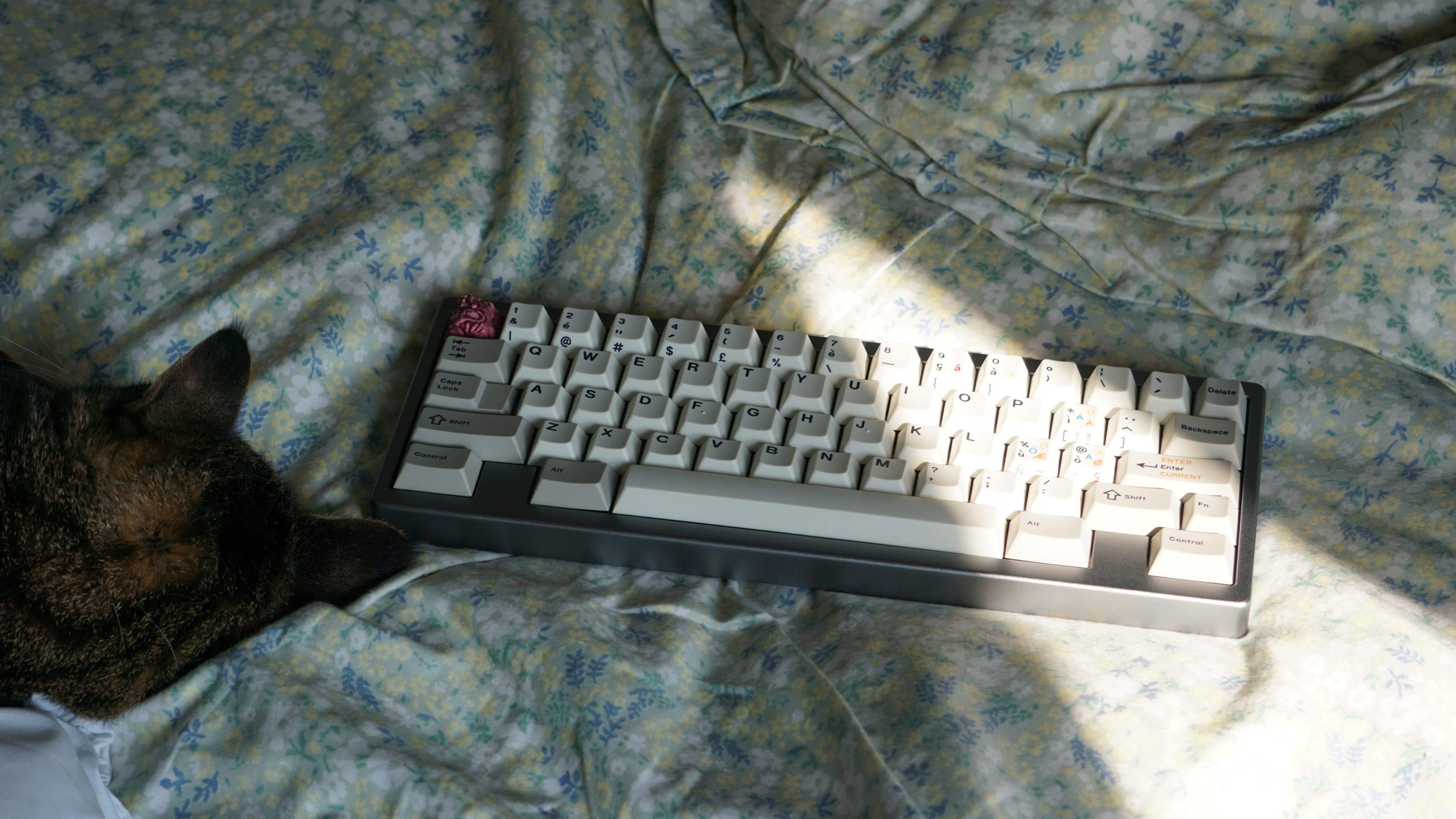 Unagi - WKL SS 60% - Gallery image 4 showing project details