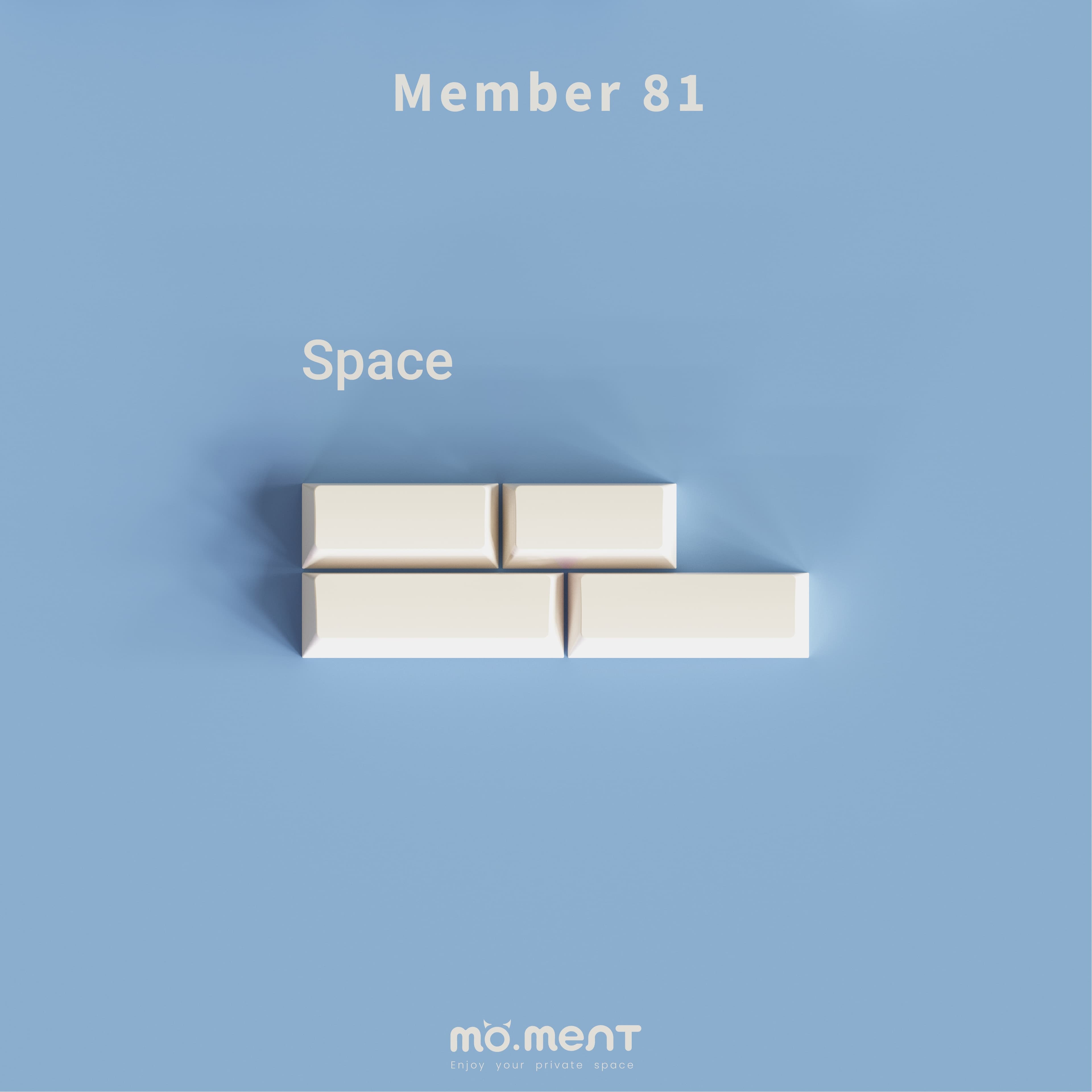 Member 81 - Gallery image 3 showing project details