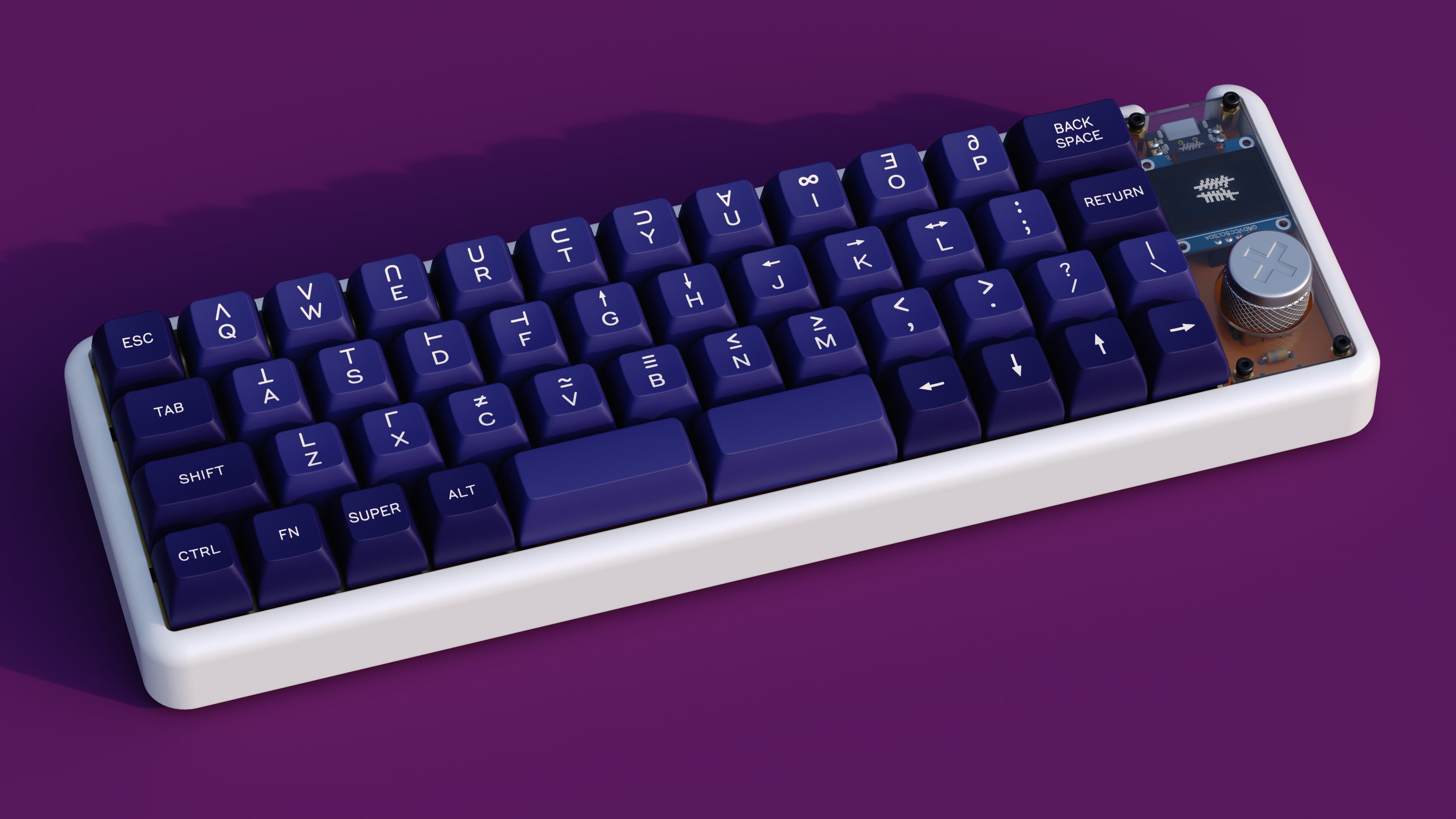 SA A History of Violets - Gallery image 4 showing project details