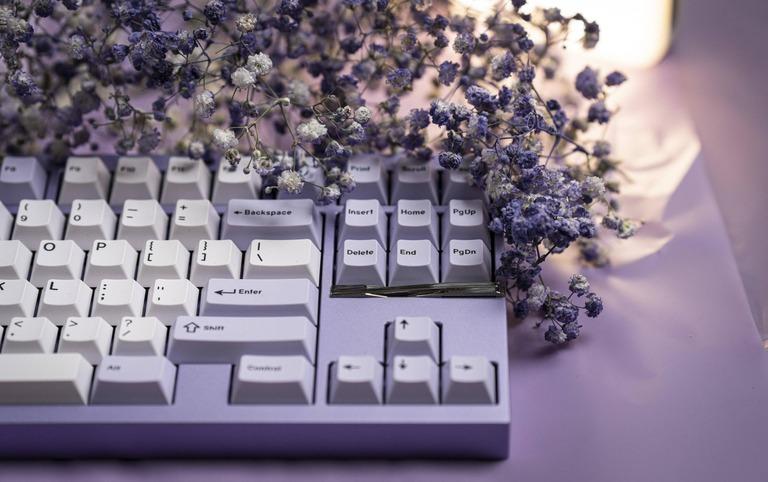 Haven TKL (IC)