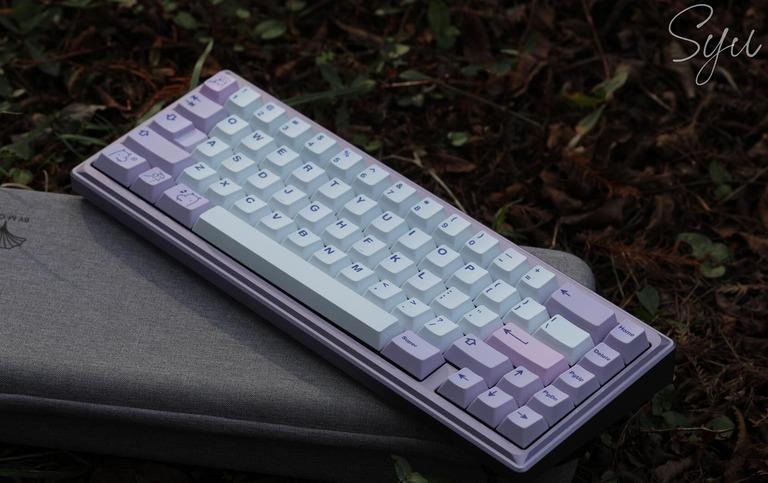 Ginkgo 65 Pro Kit (IC)