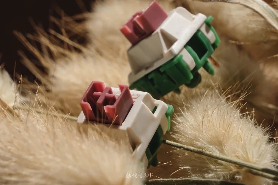 Gateron Camping Switches - Gallery image 5 showing project details