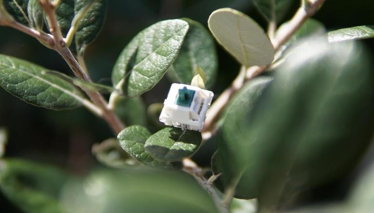BUILTBYNIM Linear Switch (IC)