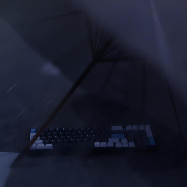 title-24