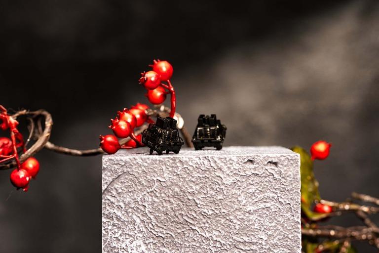 Black Knight Magnetic Switch (IC)