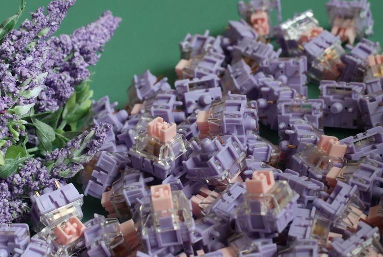 Viola Tricolor L Switch (IC)