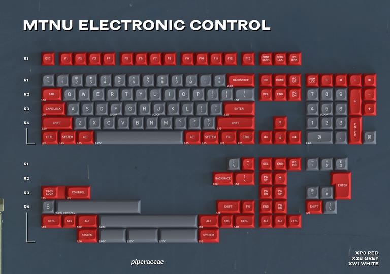 MTNU Electronic Control (IC)