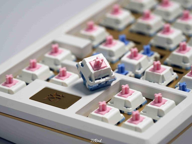 Wikuo Fuyu Switch (IC)
