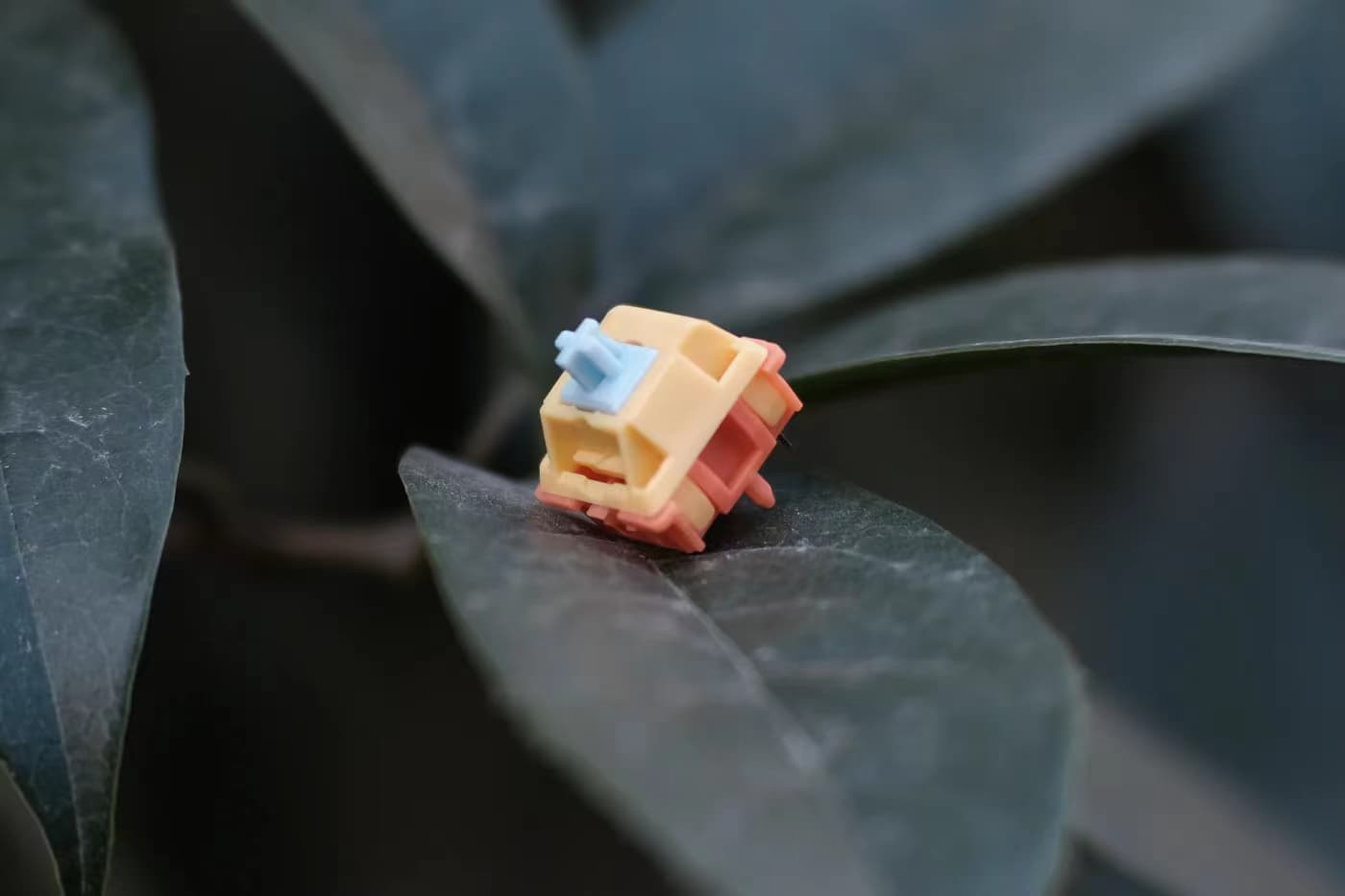 Autumn Rain Switch - Gallery image 2 showing project details