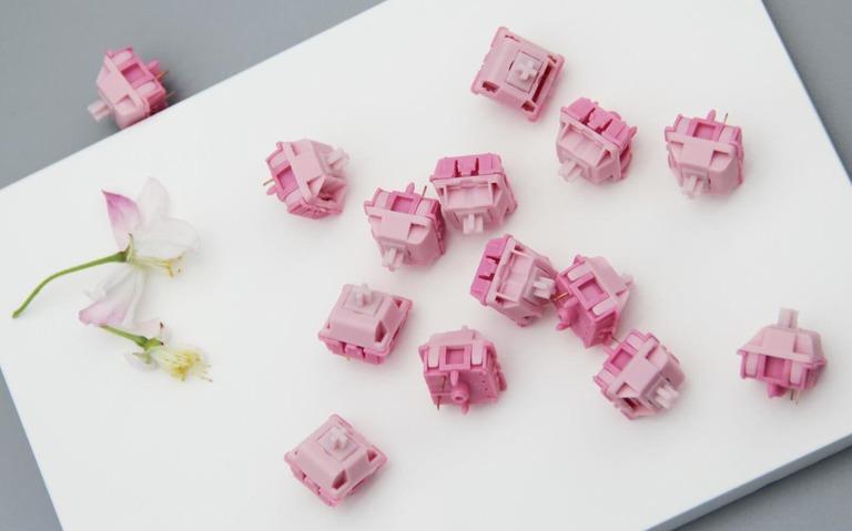 DesignerStudio TaoYao Switches (IC)