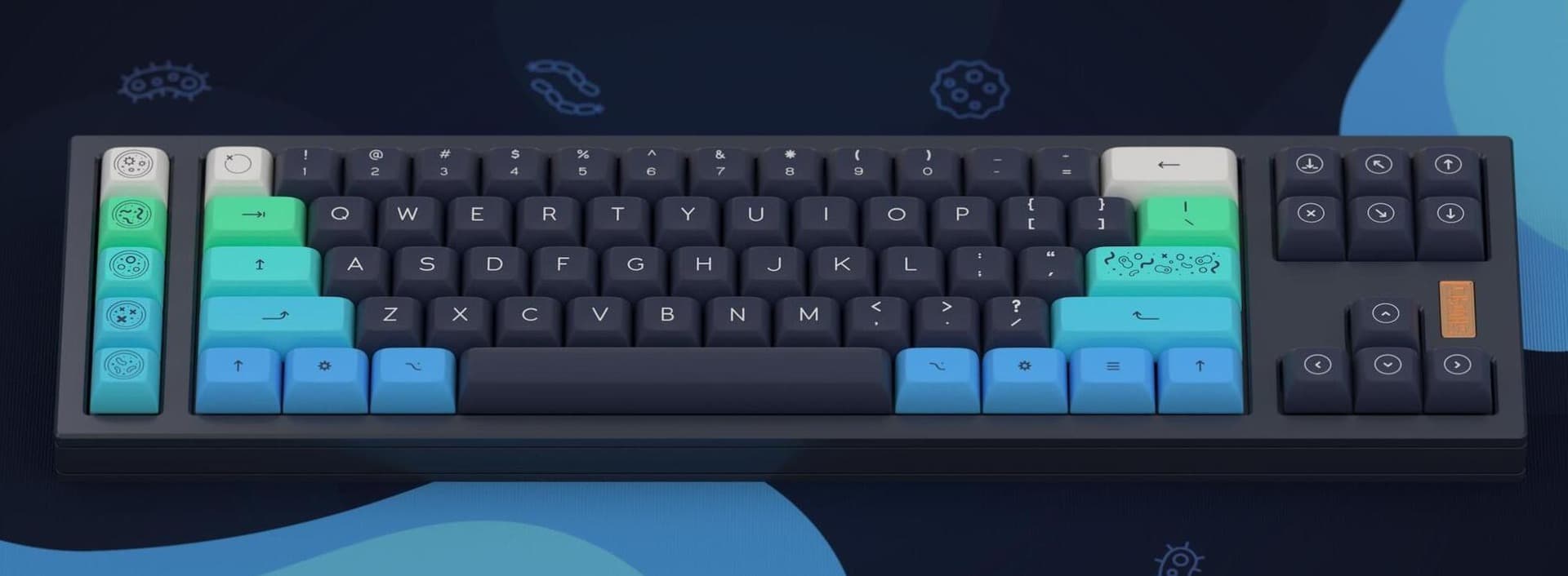 DSA PetriKeys