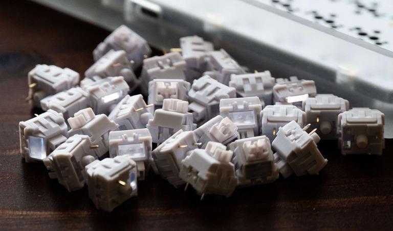 Wild Gardenia Linear Switch (IC)