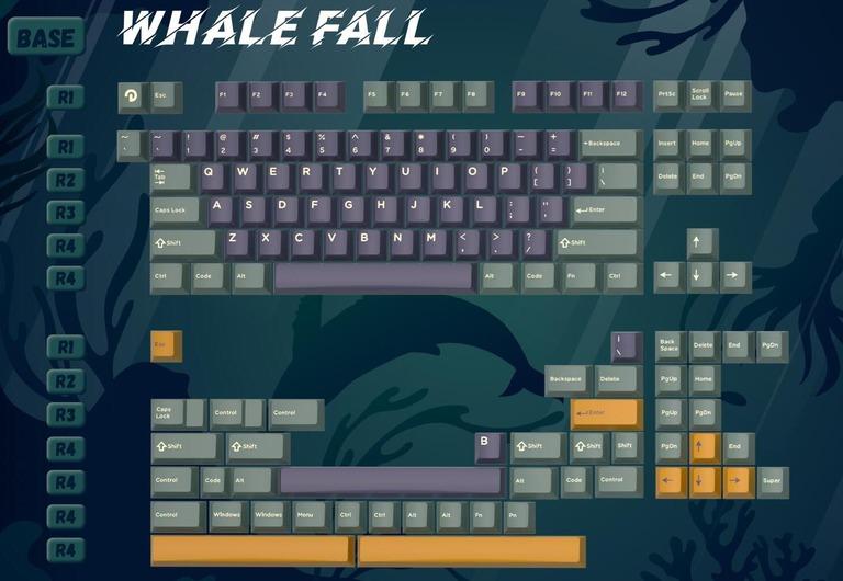 DMK Whale Fall (IC)