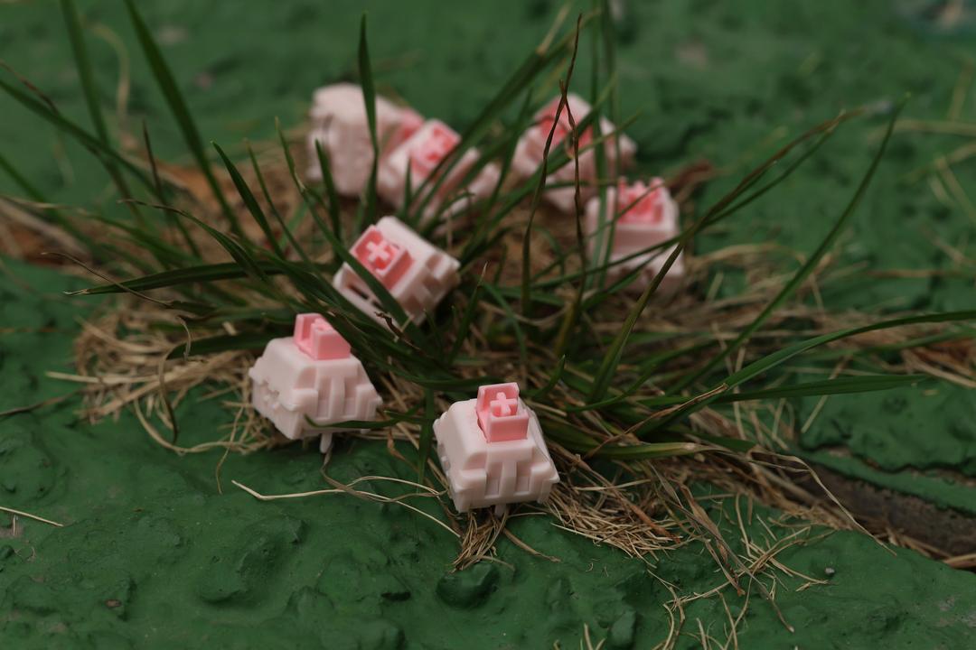Selected image 0