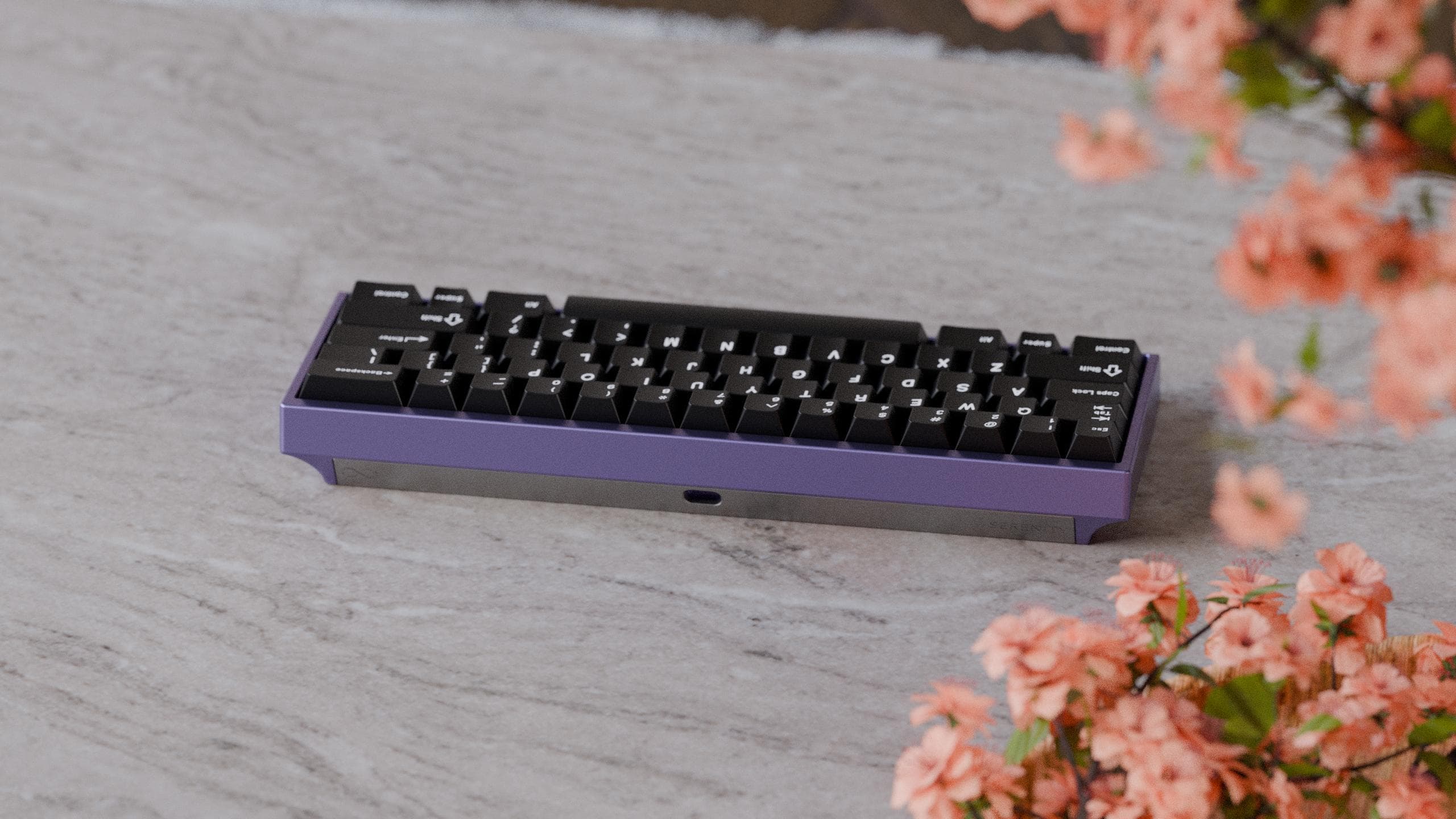 Serenity60 - Gallery image 4 showing project details