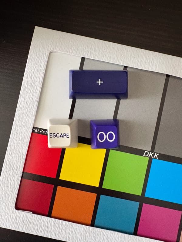 A History of Violets - Gallery image 5 showing project details