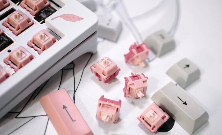 Blush Linear Switch (IC)