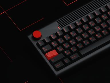 Thumbnail 19
