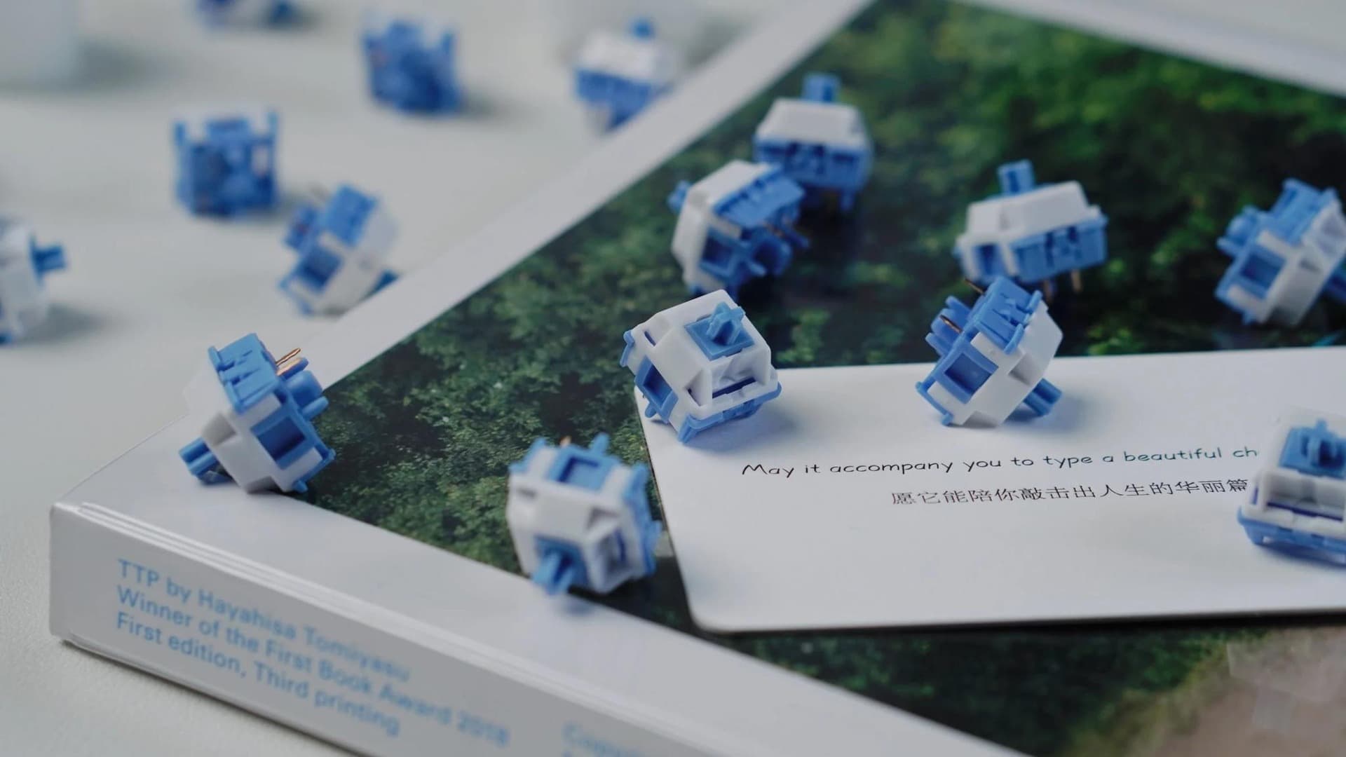 HMX Cloud Linear Switch (IC)