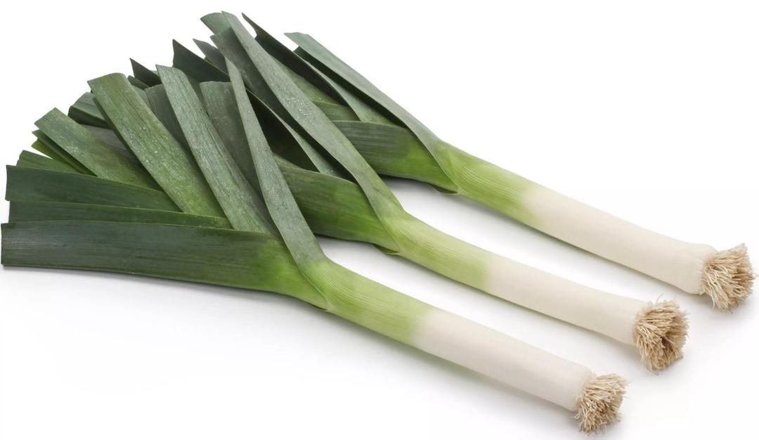 GMK Leek (IC)