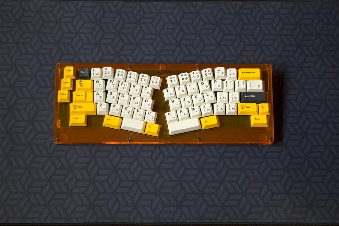 POM Alice Case (IC)