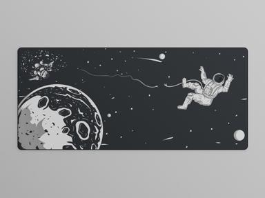 Thumbnail 19