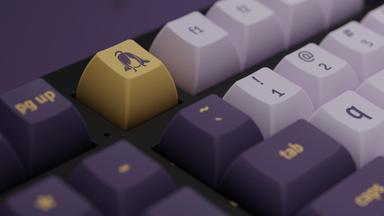 Thumbnail 51