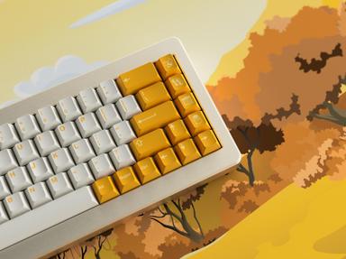 Thumbnail 22