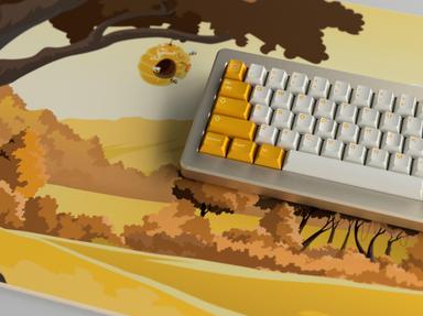 Thumbnail 23