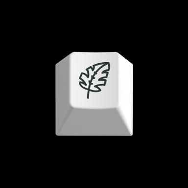 Thumbnail 17