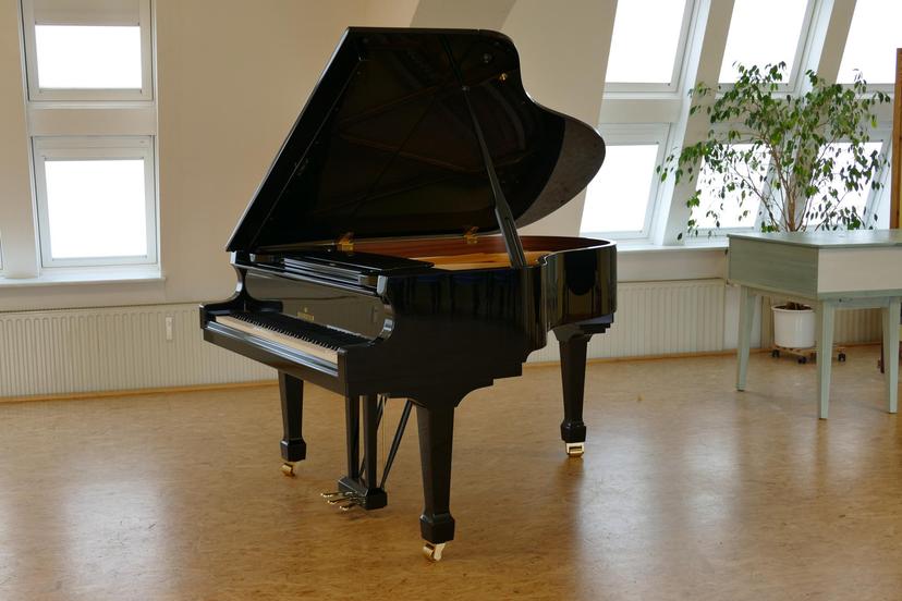 Gallery image 1