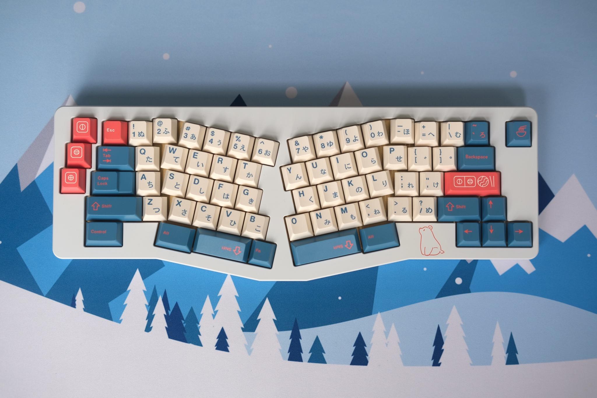 Bear 65% Ergo Keyboard