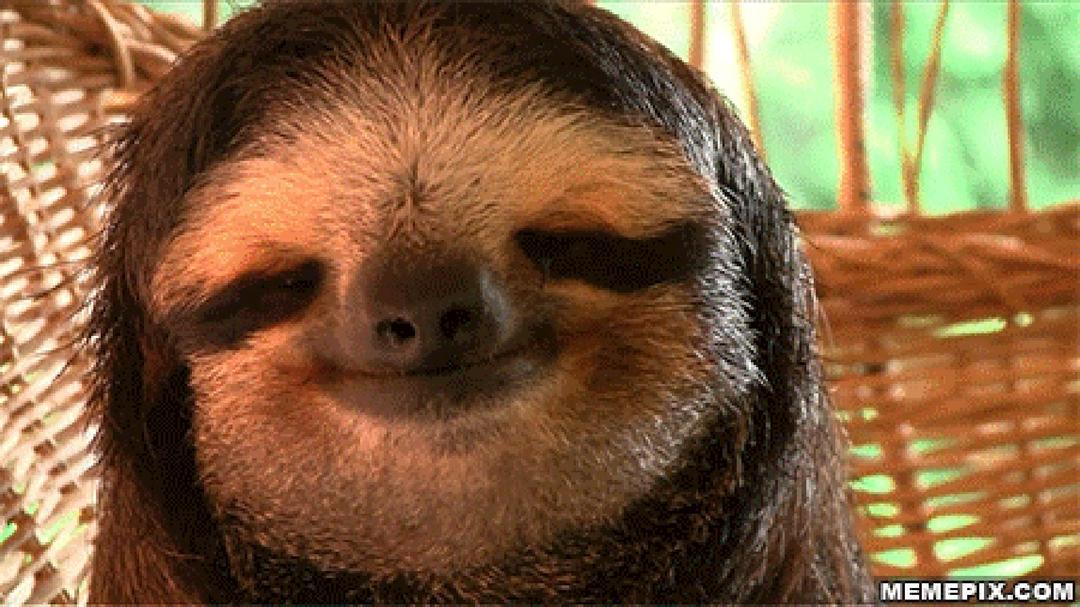 GMK Sloth