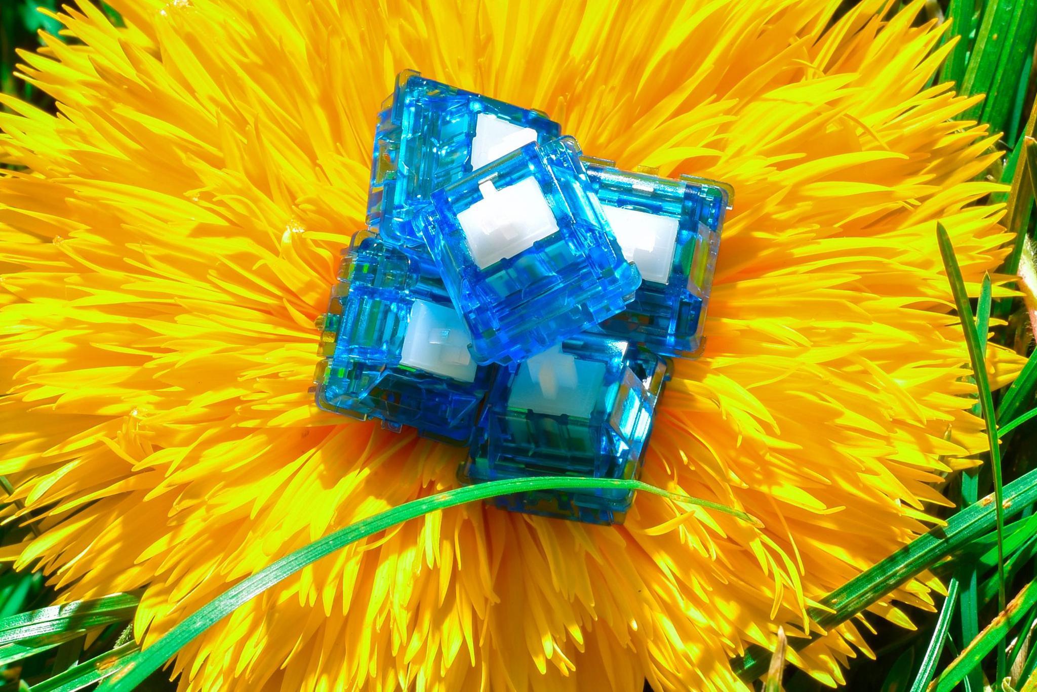 Original Aspiration (OA) Switches - Uncategorized group buy cover image featuring OA switches, group buy, Ikki68 Aurora, giveaway, mechanical keyboards, polycarbonate, UHMWPE, POM stem, PCB mount