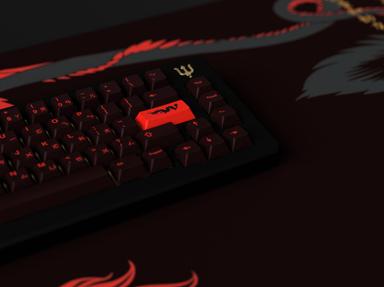 Thumbnail 31