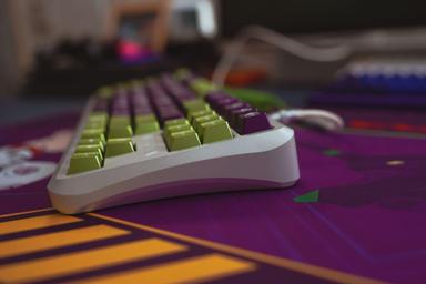 Thumbnail 10