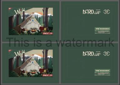 Thumbnail 12