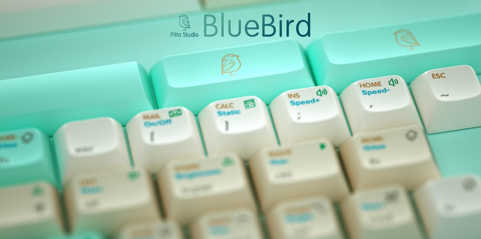 DSA BlueBird (IC) - Keycap interest check cover image featuring DSA BlueBird, Pitta Studio, keyset, low-profile switch keyboard, PBT, dye-sublimation, Chinese keyboard community