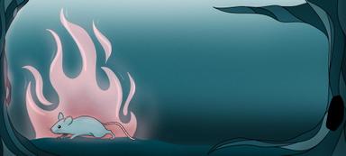 Thumbnail 23
